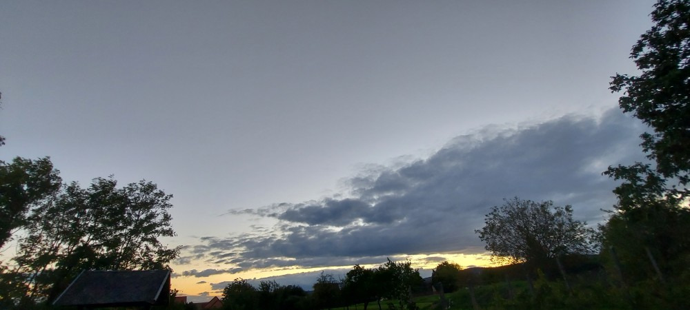 Szár