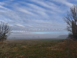 Hódmezővásárhely