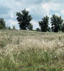 Sződliget