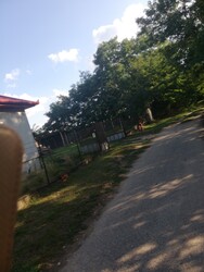 Balkány
