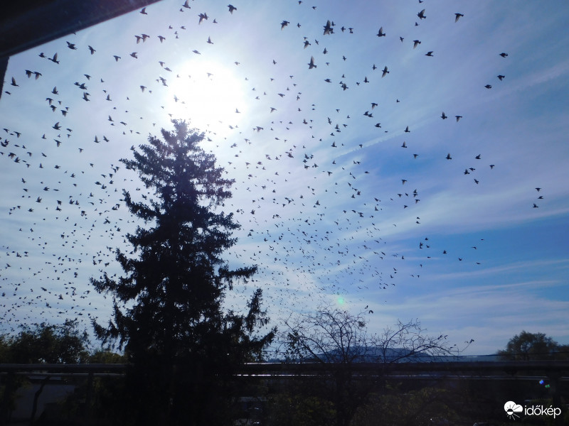 Észlelési fényképek