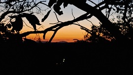 Schneeberg a Bakonyból 2.