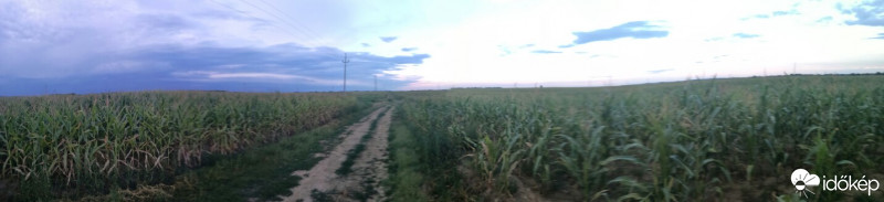 Észlelési fényképek