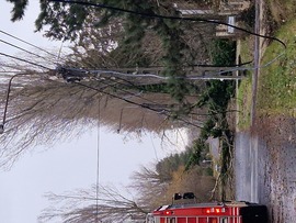 Balatonszárszó reggel