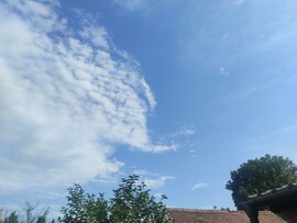Carcavelos