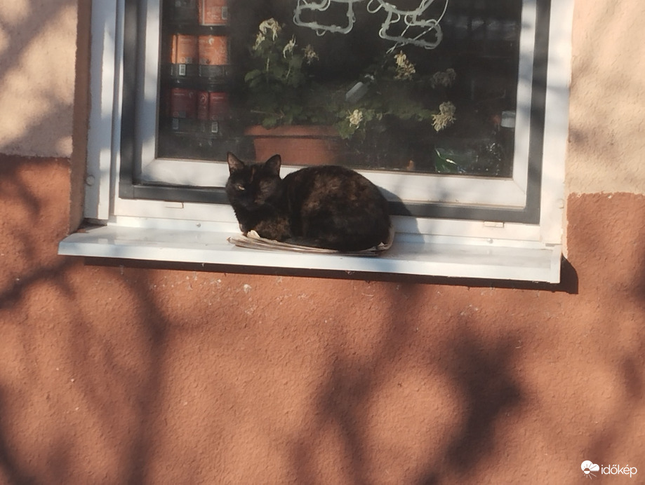 Budapest XX.ker - Pesterzsébet