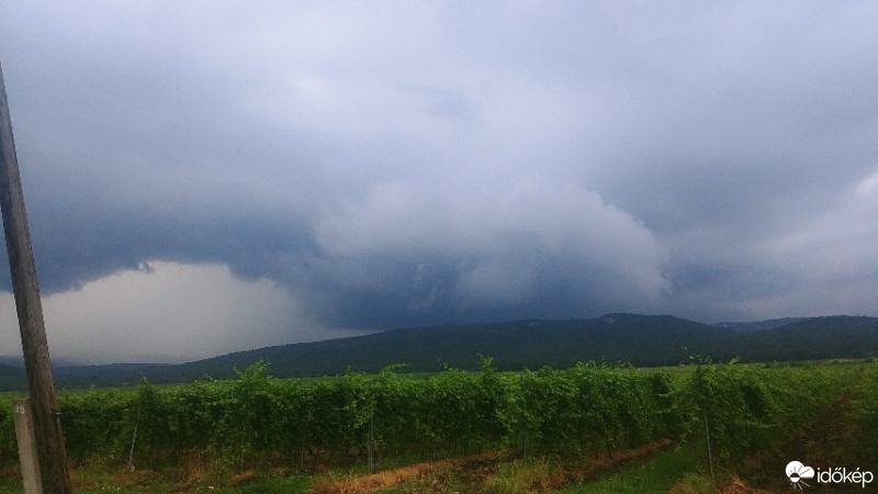 Észlelési fényképek