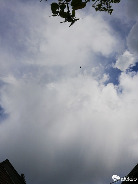 Észlelési fényképek