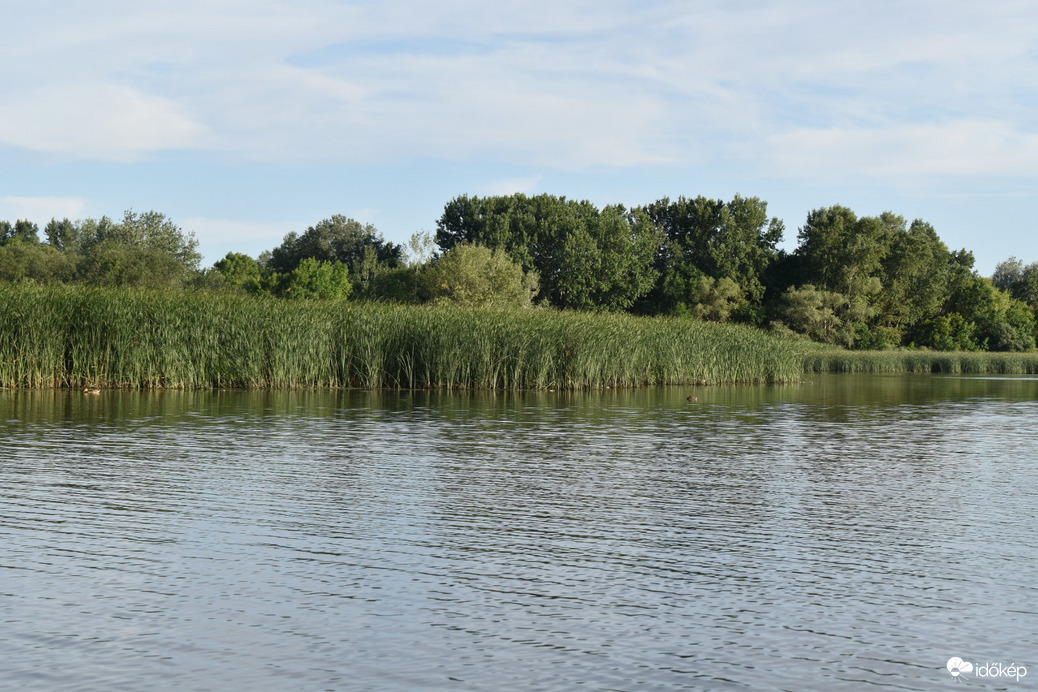 Tisza-tó