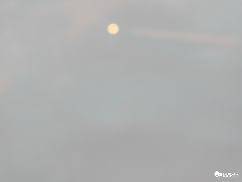 Hullócsillag. 2021.08.07