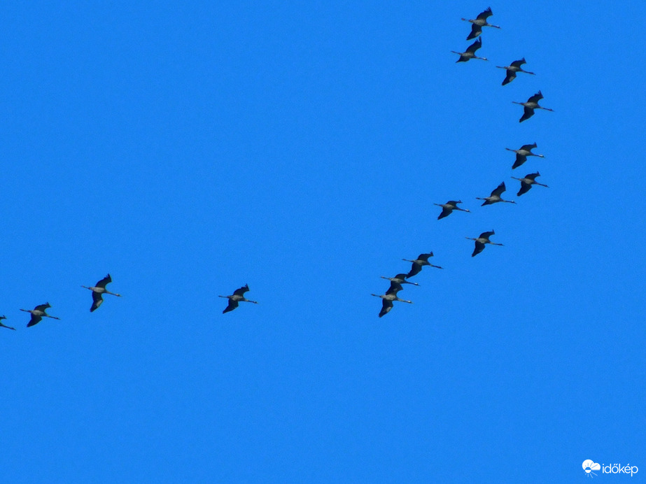 Darvak is érzik a tavaszt.