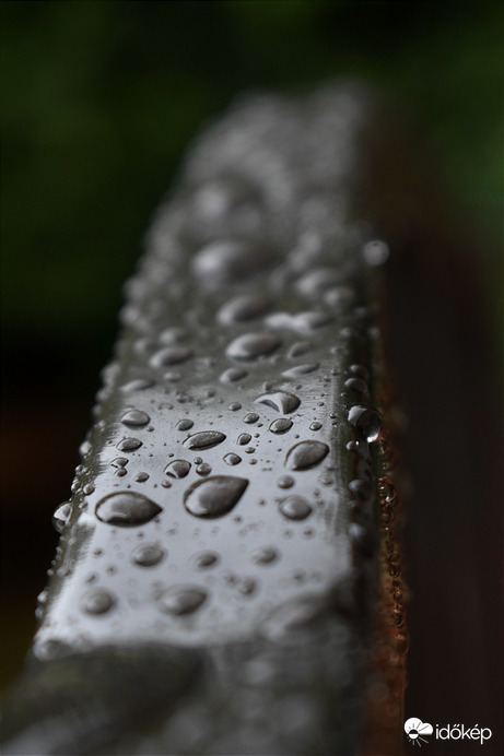 Csapadékban nem volt hiány