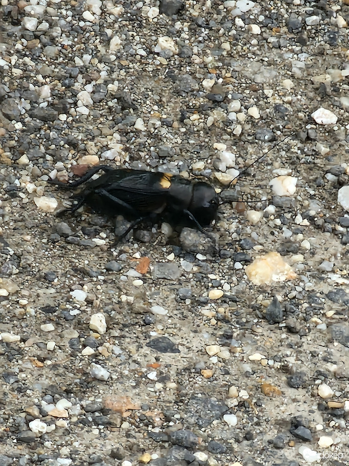 Óriásira nőttem:D