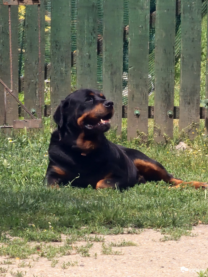 Egy kis pihi sose árt:)