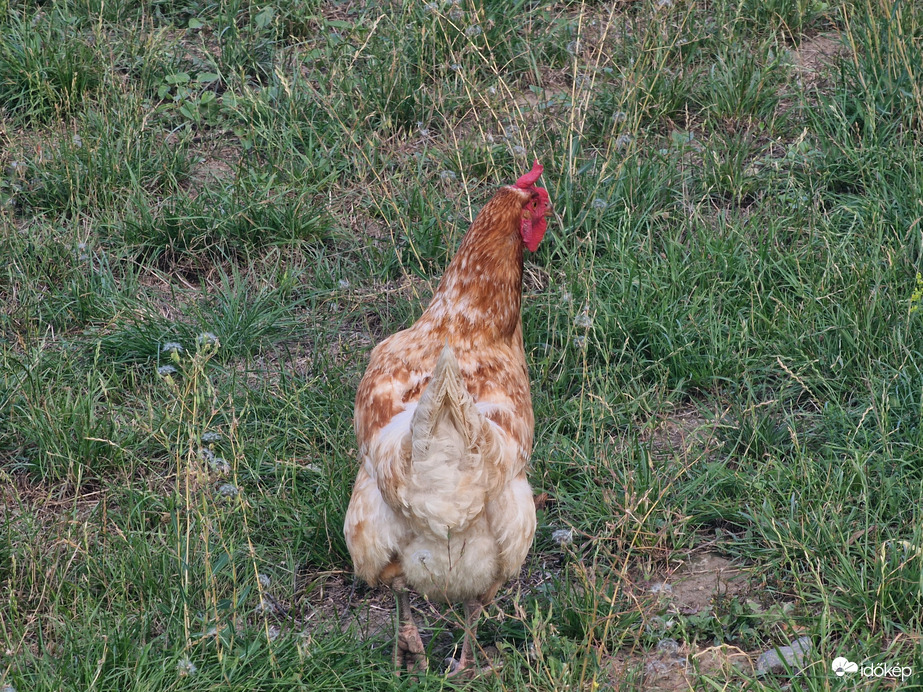 Kapirgálgatok:)