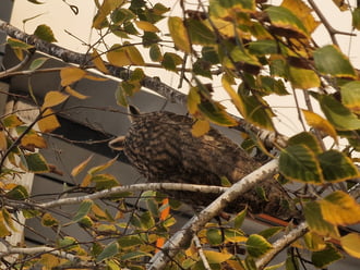 Megsértődtem rád se nézek:D