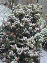 Idei év talán utolsó hava