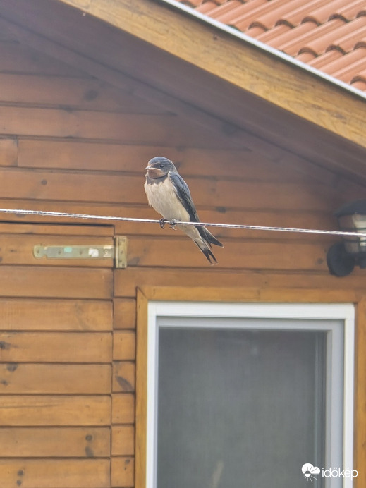 Reggeli kis vendég szülőket várva:)♡ 2