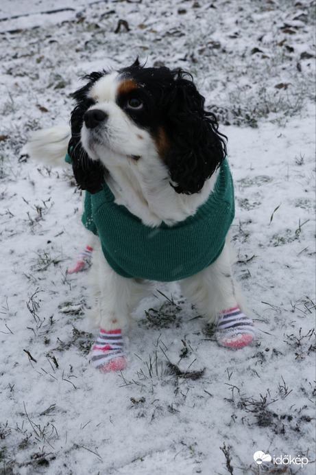 Élvezem a havat:)♡