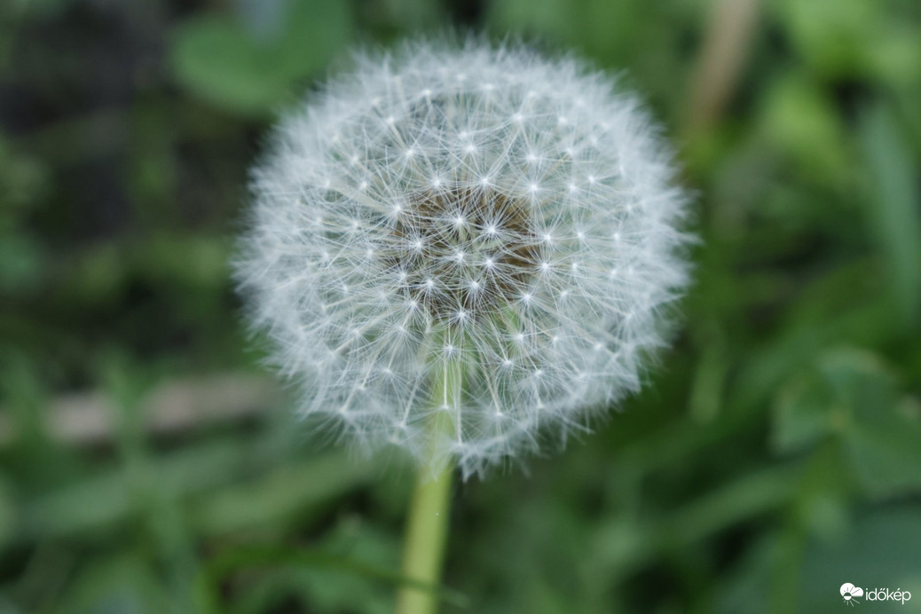 Várom hogy elfújjanak:D