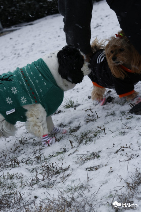 Élvezzük a havat:)♡