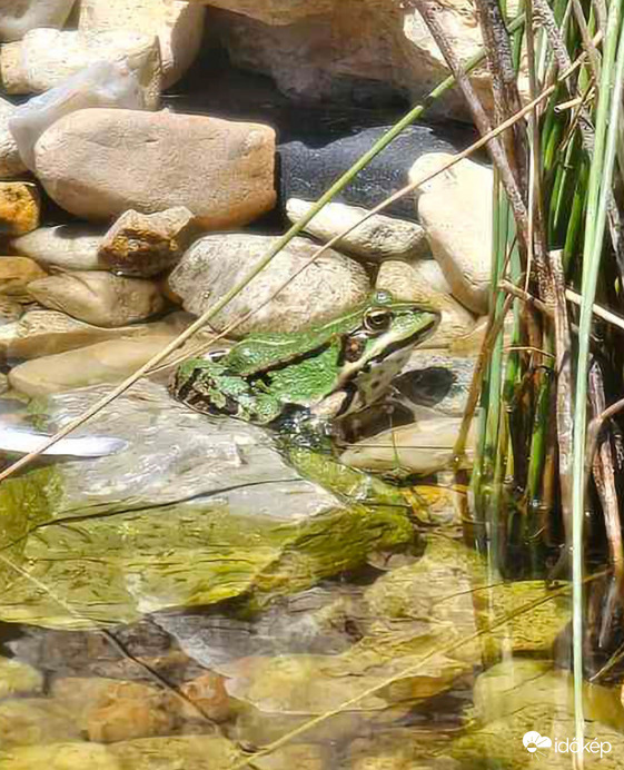 Egy kis D-vitamin pótlás:)
