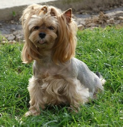 Utolsó melegebb napok:)♡