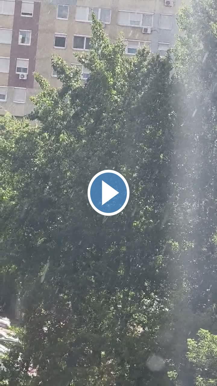 Videók és filmek