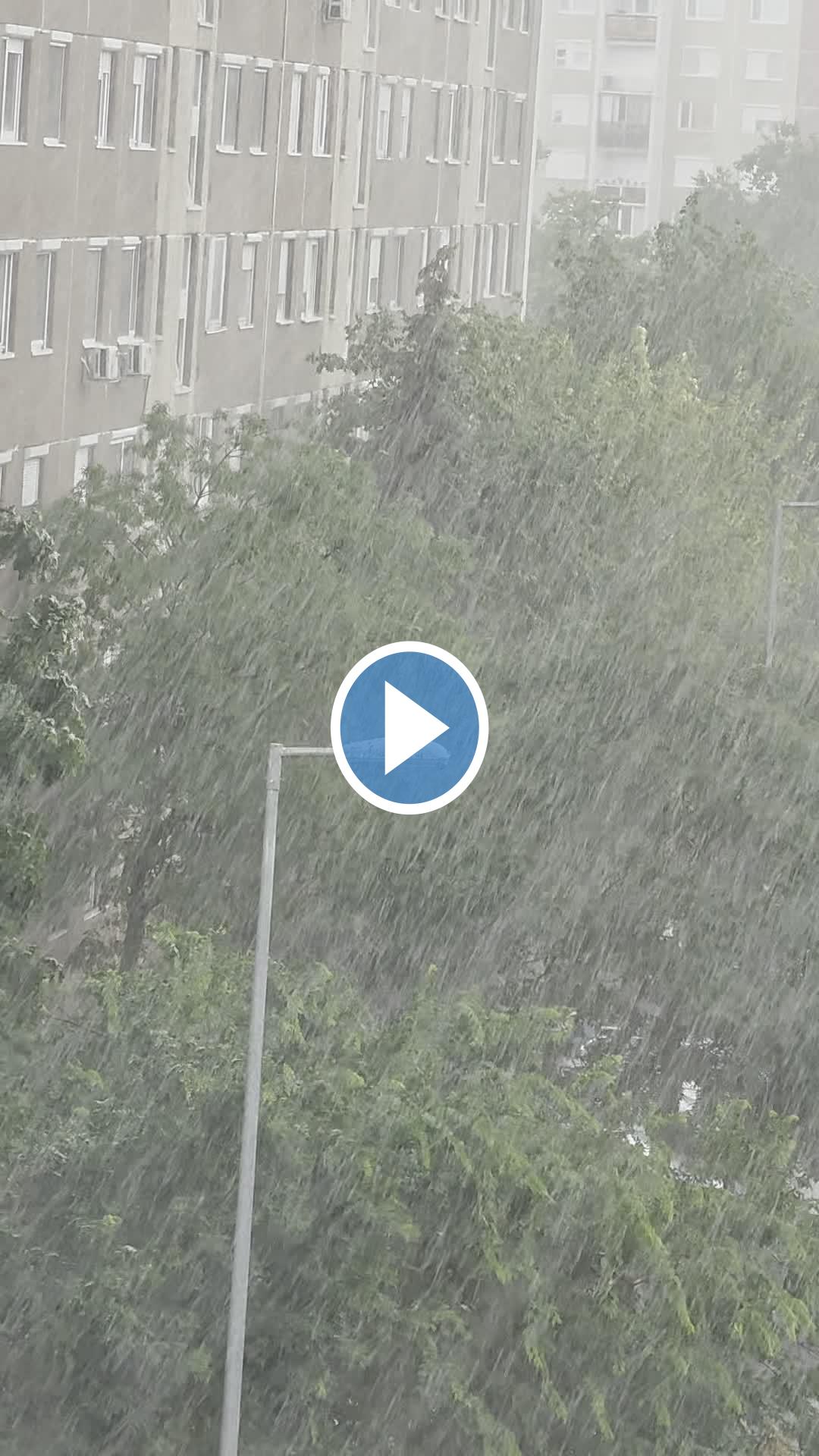 Videók és filmek