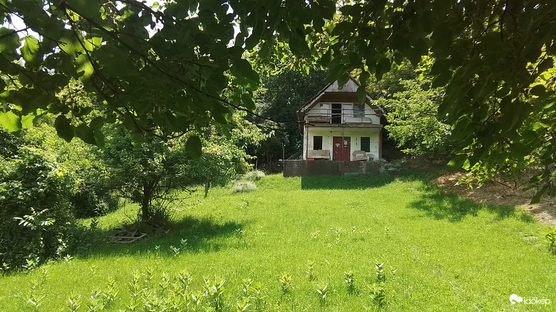 Természet