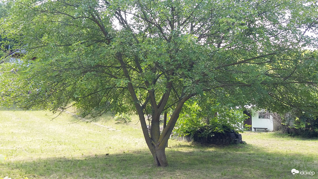Bagó-völgy