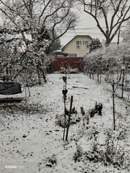 Budapest XXII. ker