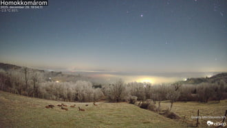 Télapó segédjeinek Karácsony utáni pihenése