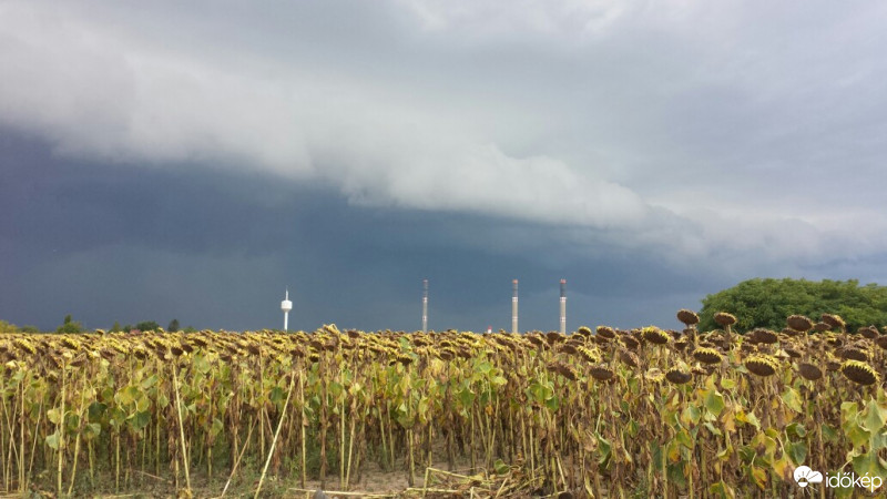 Észlelési fényképek