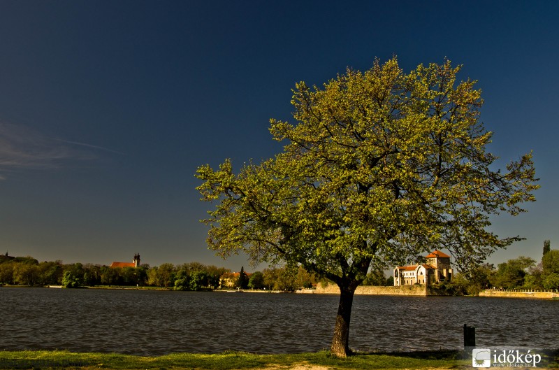 Tatai tó