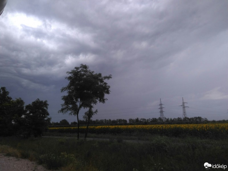 Észlelési fényképek