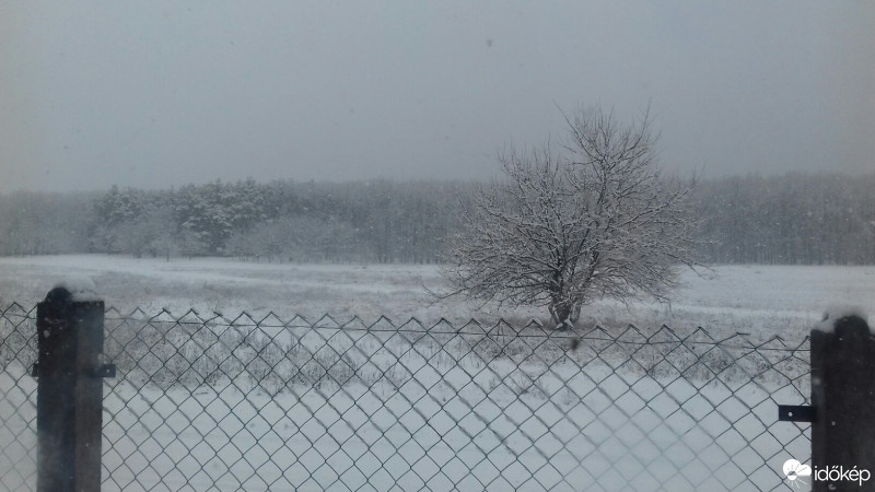 Észlelési fényképek