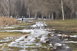 Dunaújváros Szalki sziget