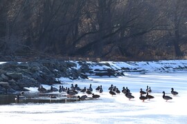 Még tartja magát a jég