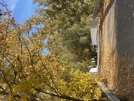 Gyengén felhős, erős széllel