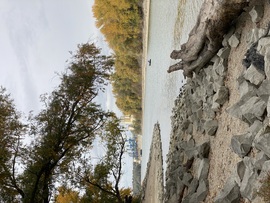 Borult, de fülledt idő