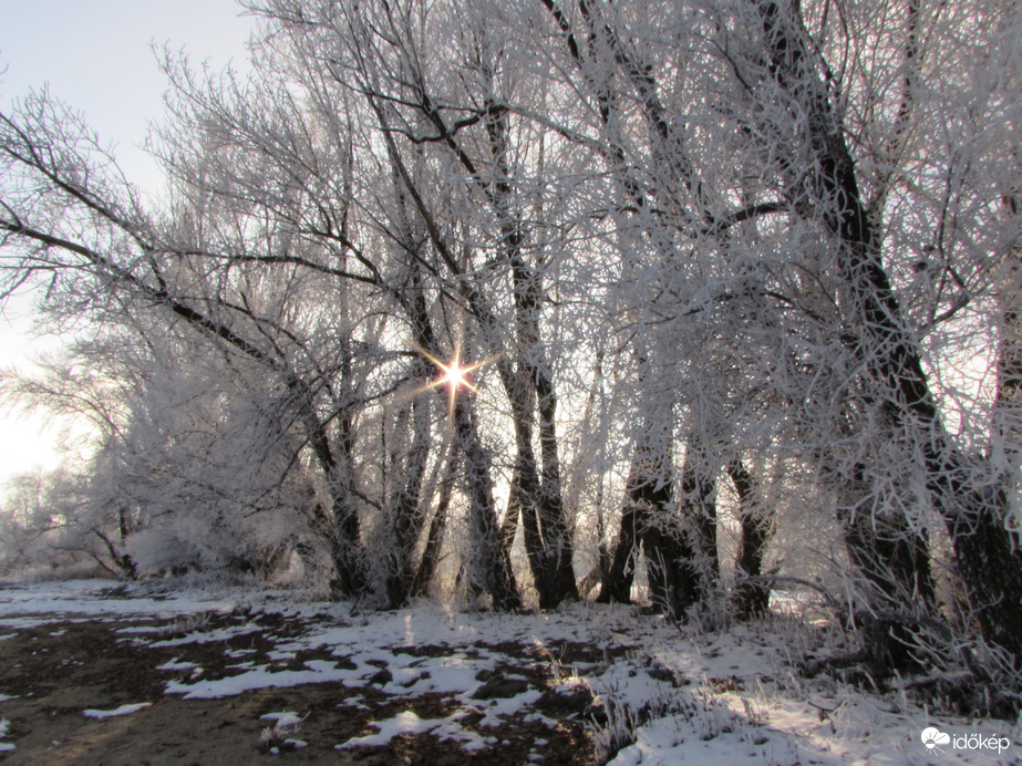 Egy ragyogó  téli nap
