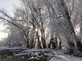 Egy ragyogó  téli nap