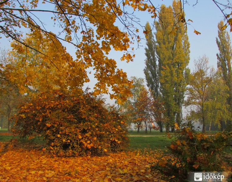 A természet őszi ruhája