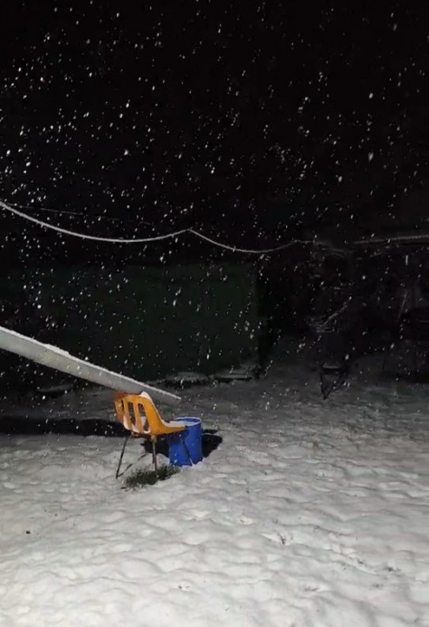 Észlelési fényképek