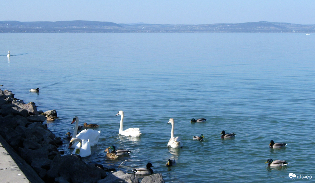 Balatonlelle