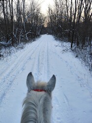 Budapest III.ker - Békásmegyer