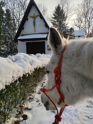 Budapest III.ker - Békásmegyer