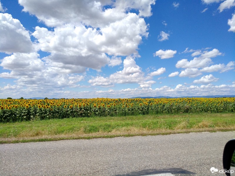 Észlelési fényképek