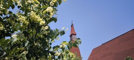 Gyál